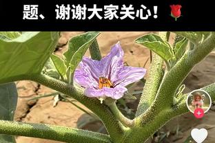 状态不俗！齐麟首节6中3拿到12分